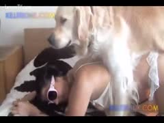 Teenage hottie in sunglasses getting an animal creampie